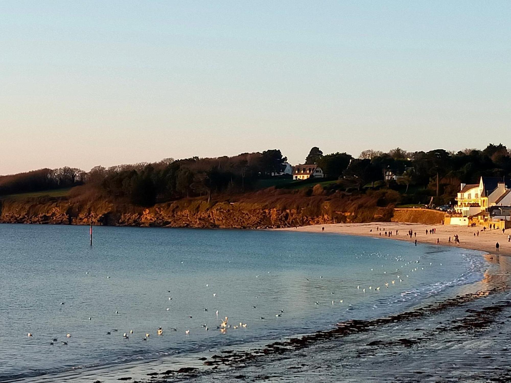 L'Elephant Blanc De Concarnoloc Concarneau Oda fotoğraf